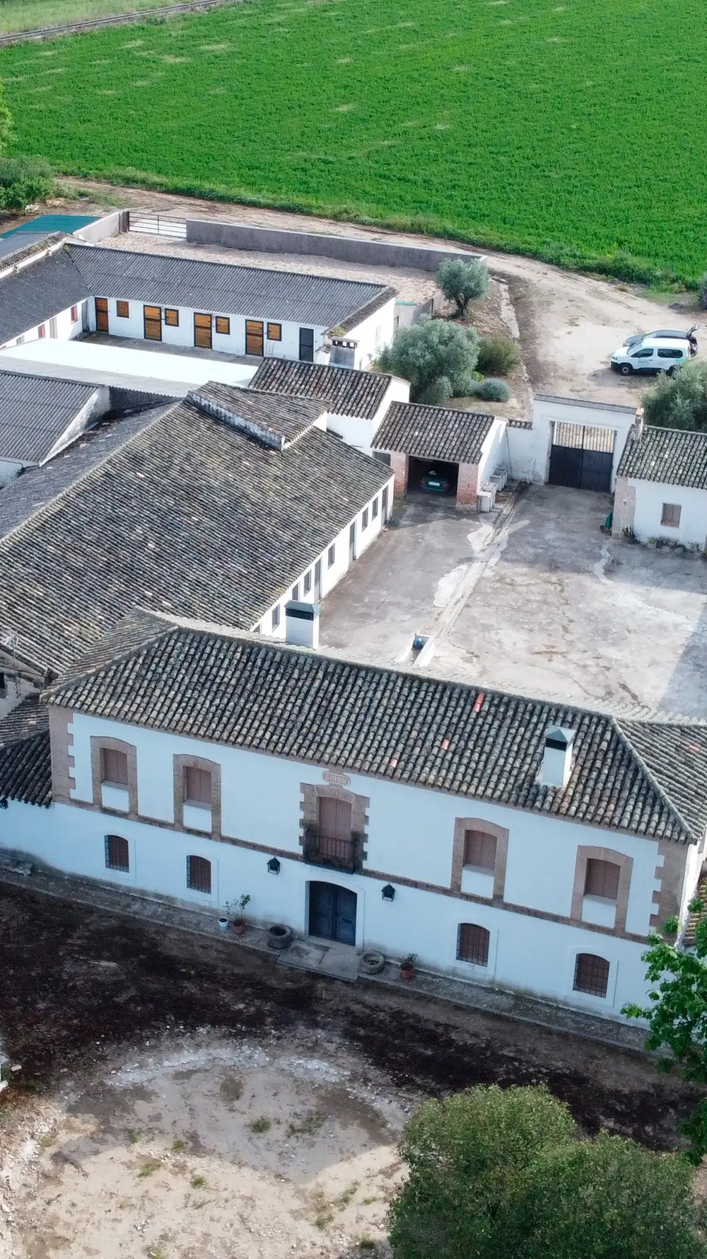 Jucabema-Rehabilitacion-03